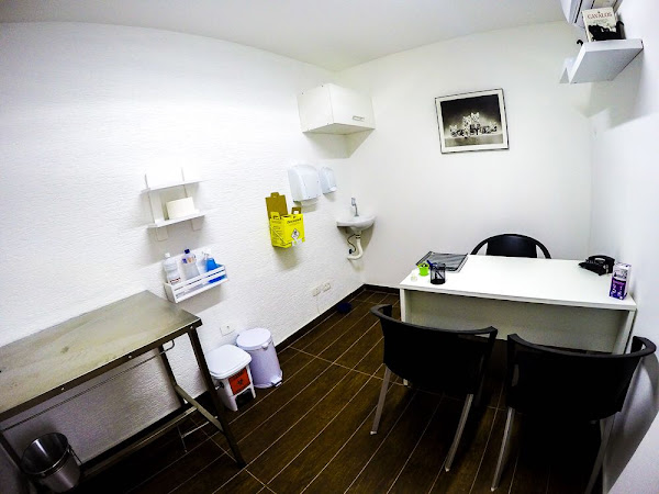 Vet Therapy Reabilitação Animal Rebouças. Clínica de Fisioterapia Veterinária em Pinheiros