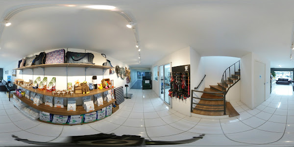 Foto 1 Vet Therapy Reabilitação Animal Rebouças. Clínica de Fisioterapia Veterinária em Pinheiros