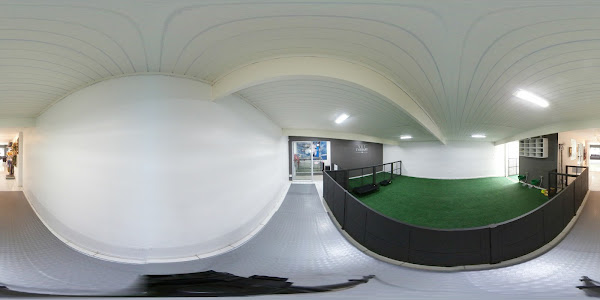 Foto 2 Vet Therapy Reabilitação Animal Rebouças. Clínica de Fisioterapia Veterinária em Pinheiros