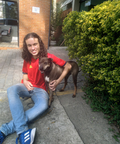 Foto 3 Vet Therapy Reabilitação Animal Rebouças. Clínica de Fisioterapia Veterinária em Pinheiros