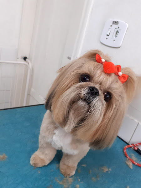 VETERINÁRIA BELA VISTA