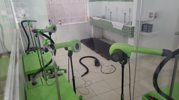 Foto 1 Clínica Veterinária Panamby