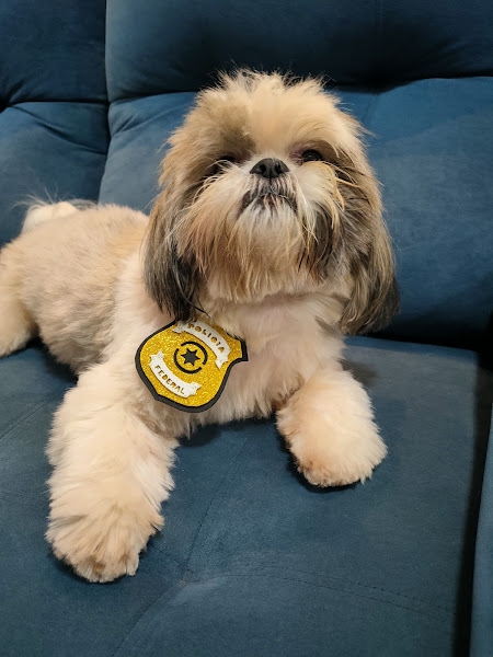 Centro Veterinário Bem Estar Animal