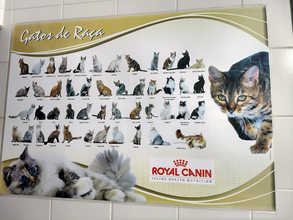 Foto 2 Veterinaria Clinica