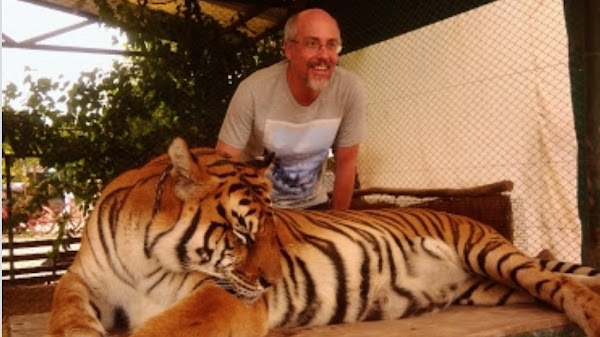 Clínica Veterinária - OSABICHÃO