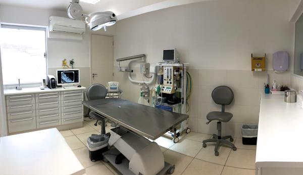 Foto 1 SMILE4PETS - Centro Veterinário de Especialidades