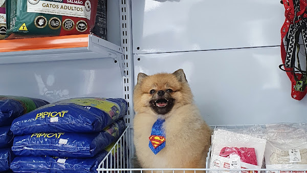 Foto 2 Clinica Veterinária VETSOLO