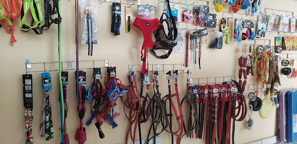 Foto 1 Veterinária Tigre D'água