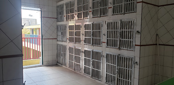 Foto 3 Veterinária Tigre D'água