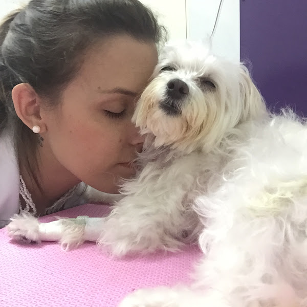 Foto 5 Centro Veterinário Manuel Lopes