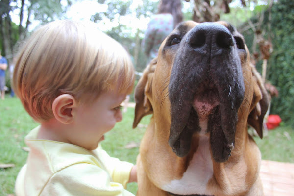 LAB&VET Diagnóstico e Consultoria Veterinária