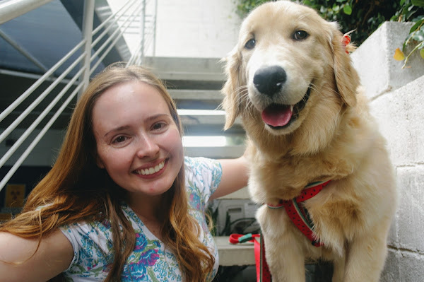 Foto 3 LAB&VET Diagnóstico e Consultoria Veterinária