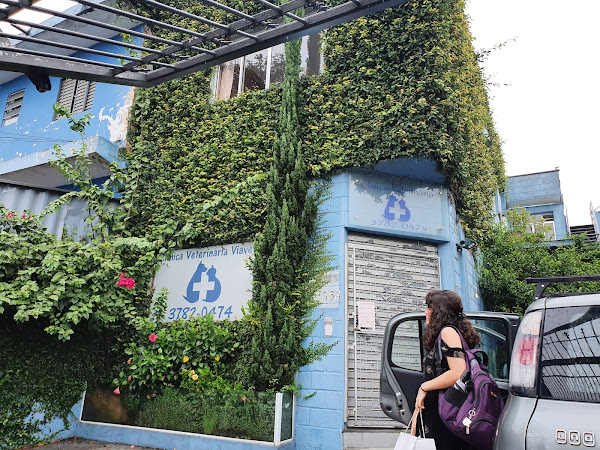 Clinica Veterinária Viavet Clinica Veterinária Viavet