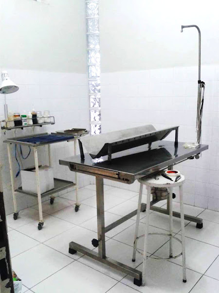 Foto 1 Clinica Veterinária Viavet