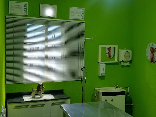 Cidade dos bichos Clinica Veterinária
