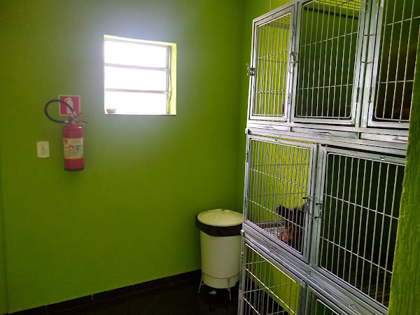 Foto 2 Cidade dos bichos Clinica Veterinária