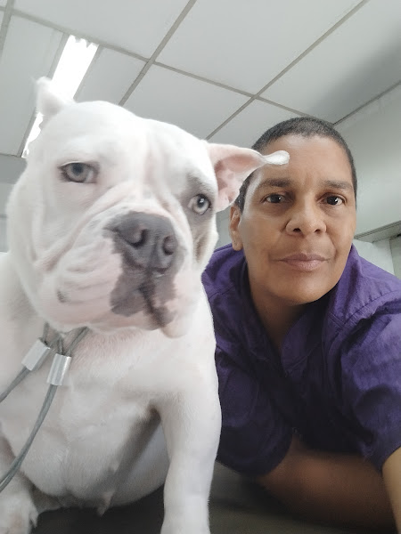 Foto 1 Clínica Veterinária Jaguaré