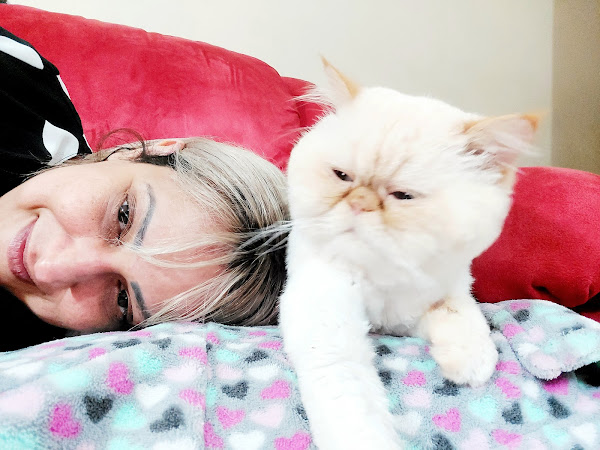 Veterinária Santa Clara Pirituba