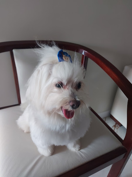 Foto 2 Veterinária Santa Clara Pirituba