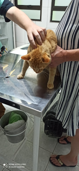 Foto 4 Veterinária Santa Clara Pirituba