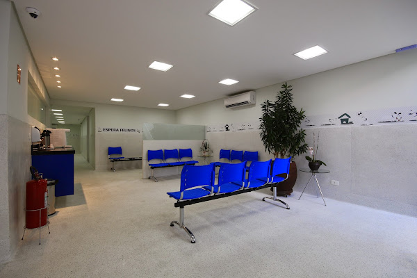 Foto 2 Pet Care Hemovet Vila Prudente - Hemocentro, Especialidades e Diagnóstico por Imagem.