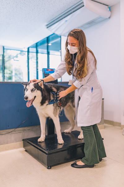 Foto 5 WeVets | Centro Veterinário 24h | Unidade Pompéia