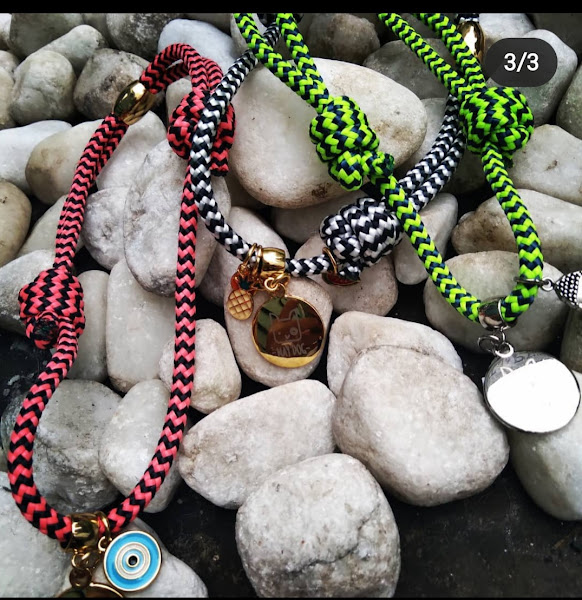 Foto 2 Vet Pet Center