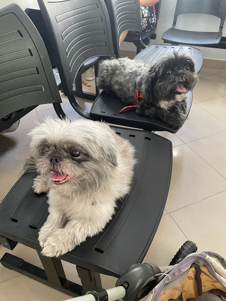 Foto 1 Kether - Centro Diagnóstico Veterinário