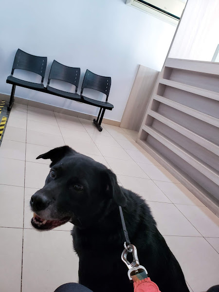 Foto 2 Kether - Centro Diagnóstico Veterinário