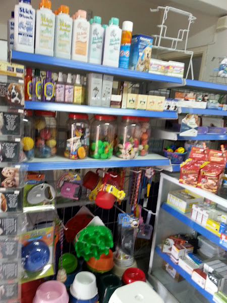 Foto 1 Veterinária Cães e Gatos