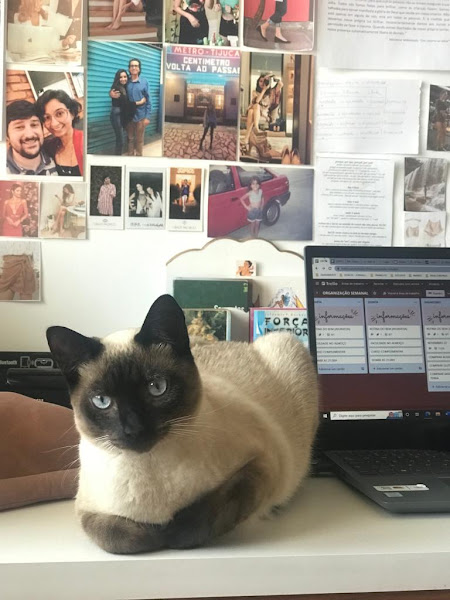 Veterinário em Domicílio