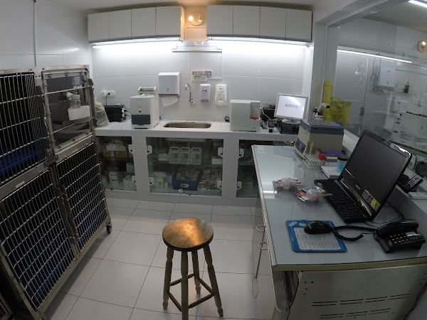 Foto 1 Nato Medicina Veterinária