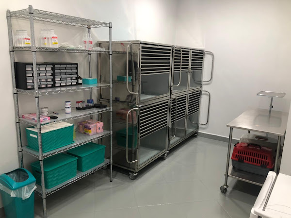 Foto 2 VetGo Centro Veterinário