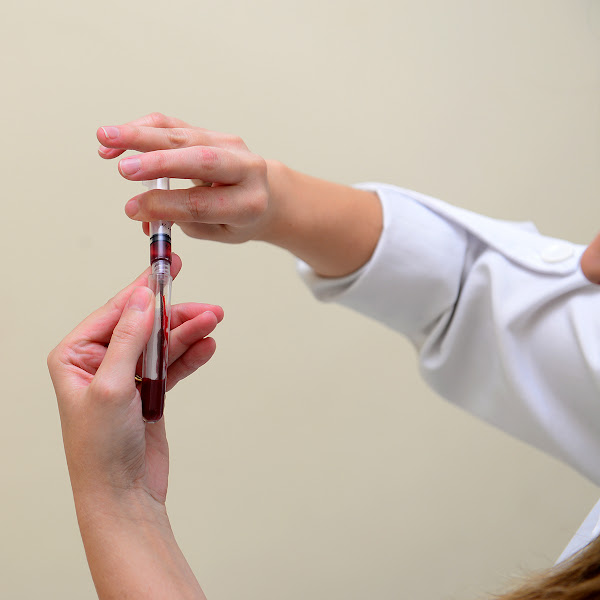 Lab Animal - Diagnóstico Veterinário