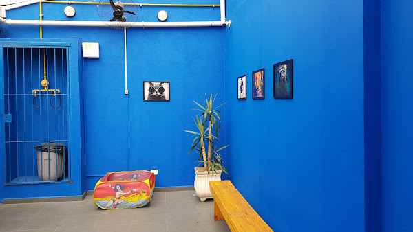 Foto 1 Lab Animal - Diagnóstico Veterinário