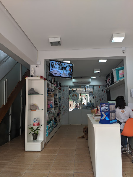 Foto 3 Patas Urbanas