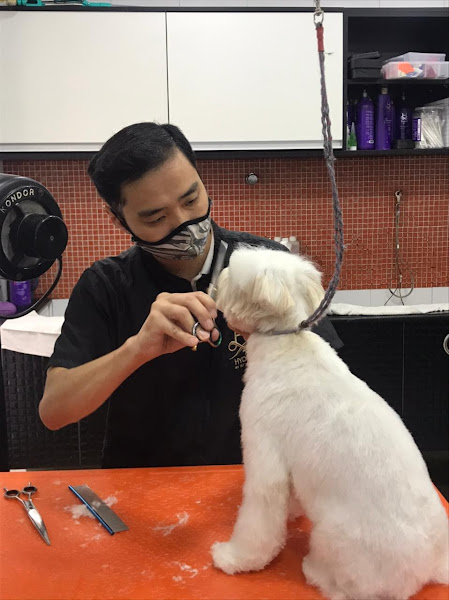 Foto 4 Patas Urbanas