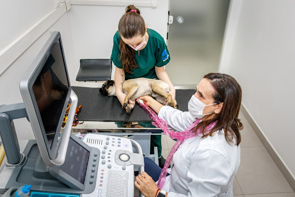 Foto 4 Nato Vet Center - Unidade Vila Romana