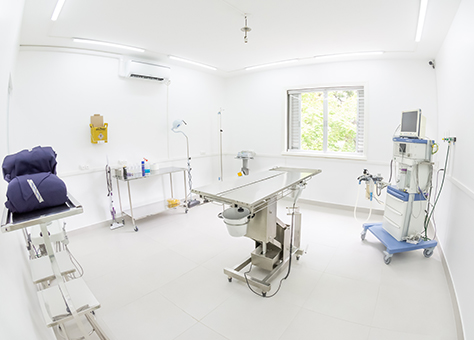 Foto 6 Nato Vet Center - Unidade Vila Romana