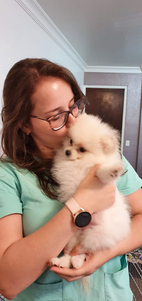 Foto 1 Atendimento Veterinário Domiciliar São Paulo