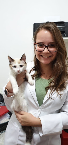 Foto 2 Atendimento Veterinário Domiciliar São Paulo