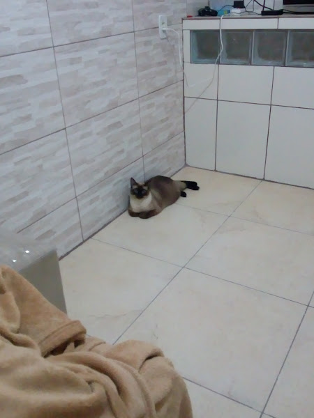 Foto 0 C.R. Rações