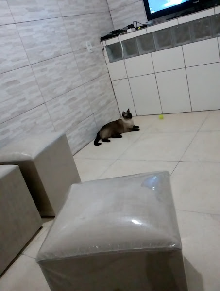 Foto 1 C.R. Rações