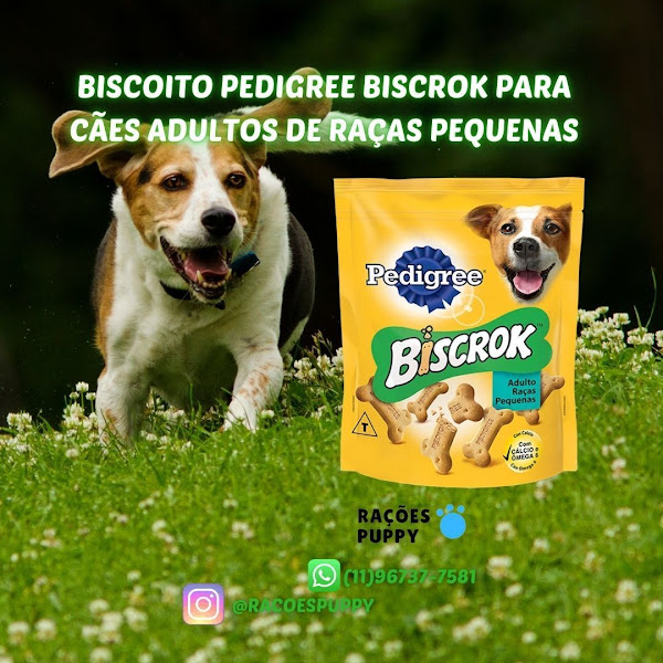 Comércio de Rações Puppy