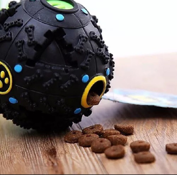 Foto 1 CASA DE RAÇÃO AMOMYPET