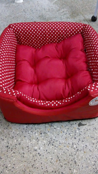 Foto 2 Pet Shop WT Racoes Banho E Tosa