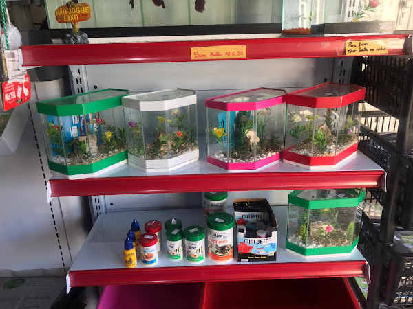 Foto 3 Rica Pets & Rações