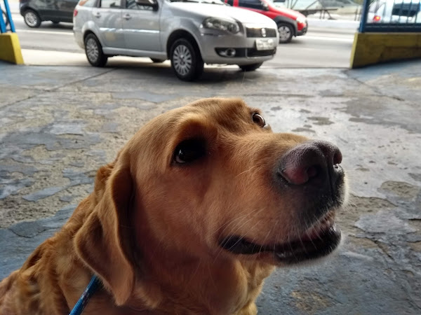 Foto 2 Casa De Ração M'Boi Mirim