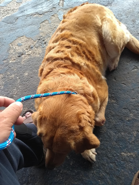 Foto 3 Casa De Ração M'Boi Mirim