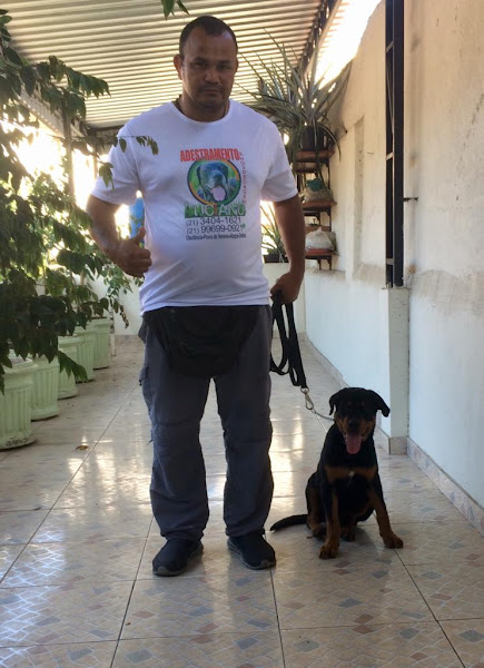 Foto 1 JL adestramento